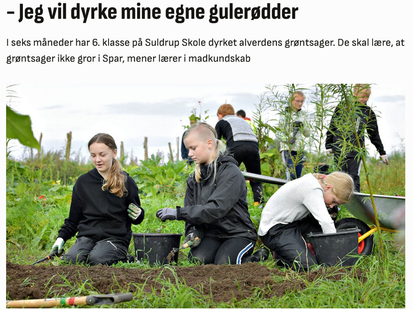 artikel2019-09-11_Nyt projekt vækker børns interesse for naturen - Jeg vil dyrke mine egne gulerødder Nordjyske.dk