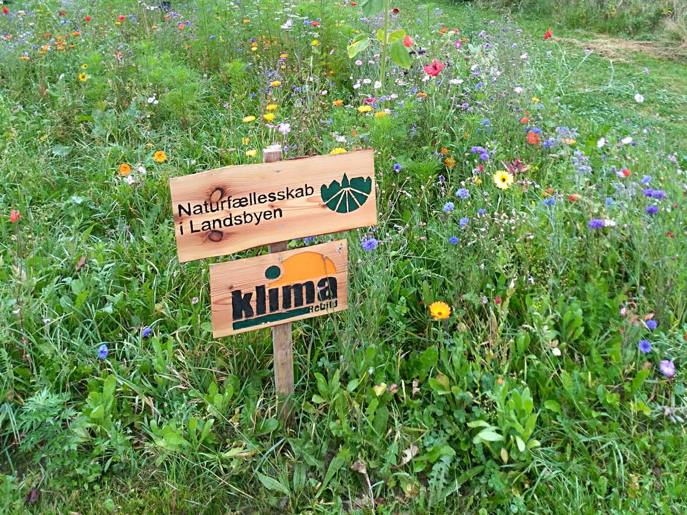 Naturfællesskab i landsbyen