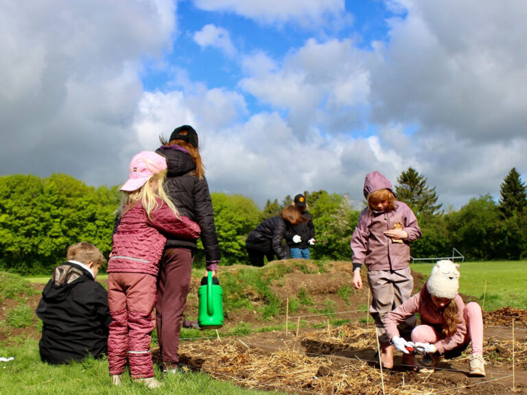 Der plantes og vandes i skolehaven